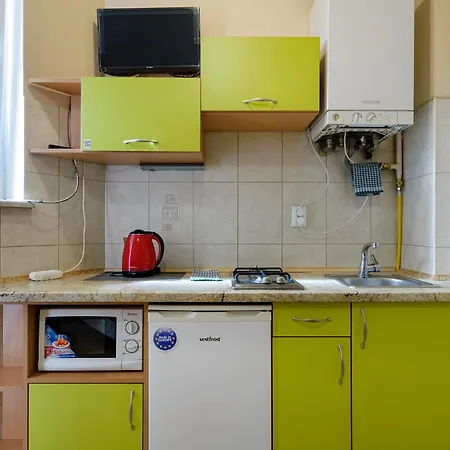 Cozy In The Center Daire Lviv