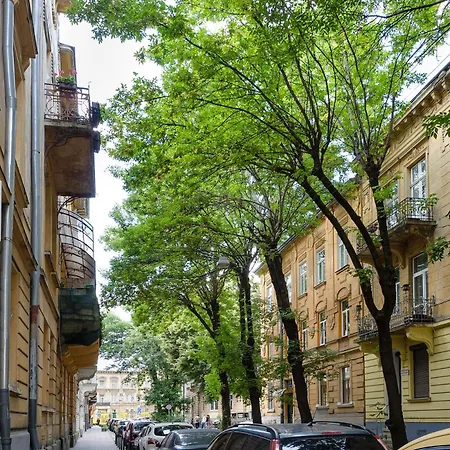 Cozy In The Center Daire Lviv